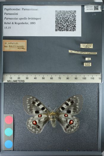 Media type: image;   Entomology 175234